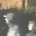 Do you recognise these people?