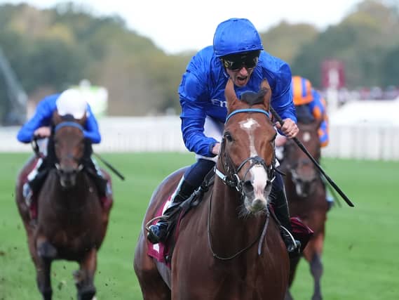 William Buick and Ombudsman win the Qatar Racing Champion Stakes at Ascot