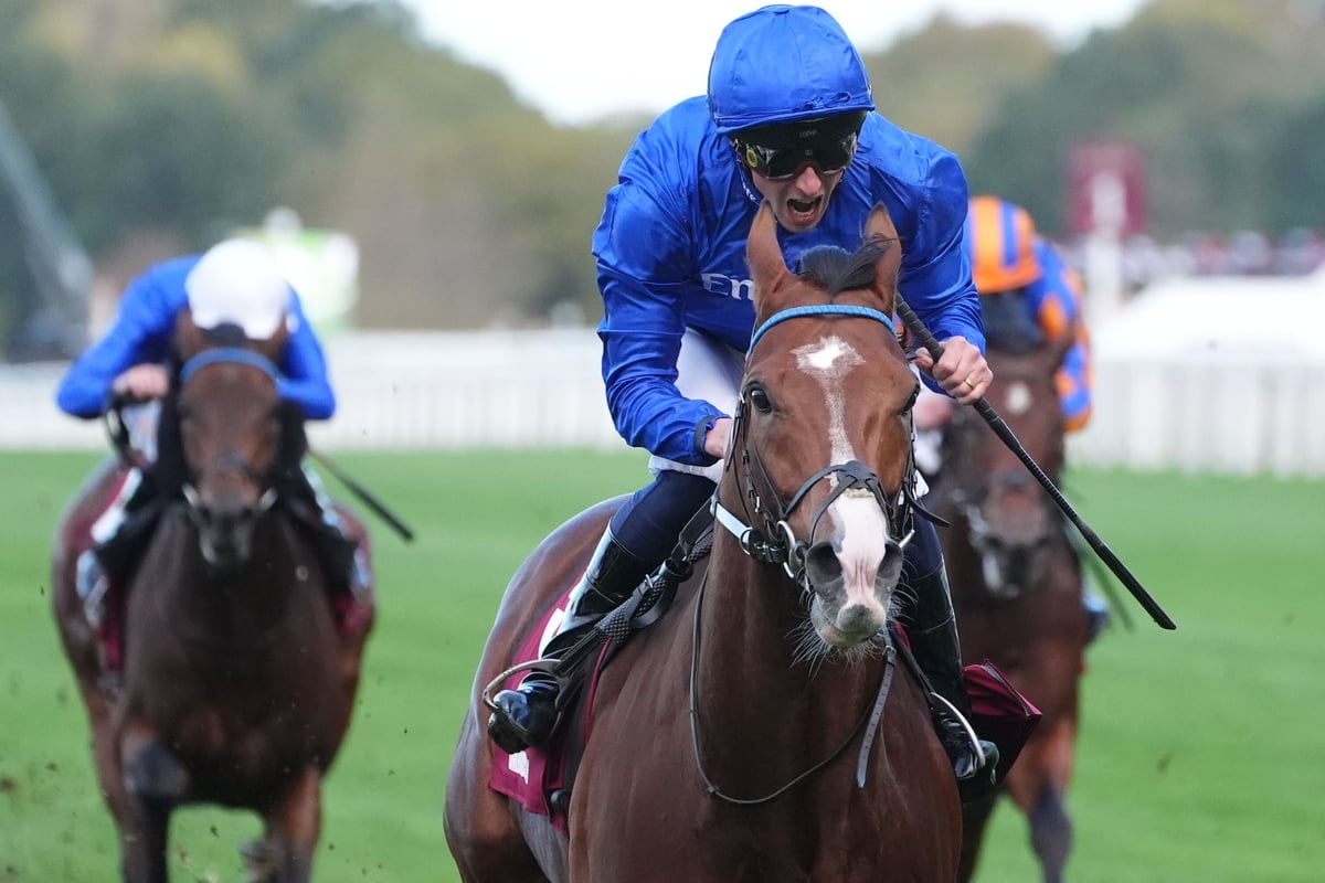 Ombudsman set for Breeders’ Cup finale