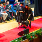 Caitlin and guide dog, Honey take to the stage for Caitlin's graduation from University of Wolverhampton