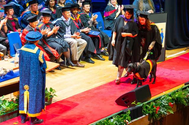 Caitlin and guide dog Honey take to the stage for Caitlin's graduation from the University of Wolverhampton