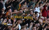 Wolves fans