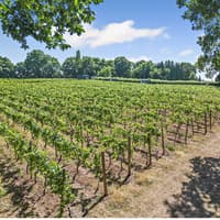 One of UK's oldest vineyards nestled in West Midlands countryside put on the market