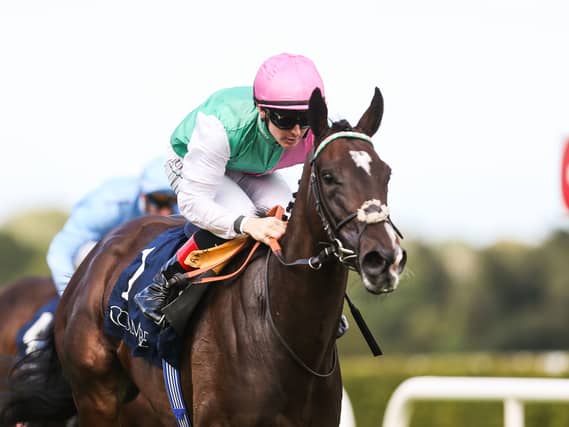 Blue Bolt in action at Leopardstown