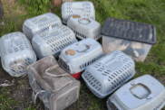 RSPCA appeals for West Midlands homes in cat crisis