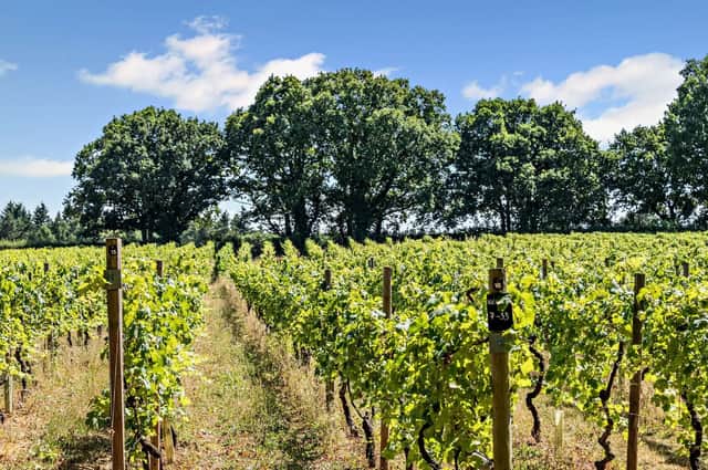Astley Vineyard