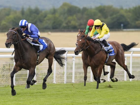 Al Aasy may be forced to miss Newbury this weekend