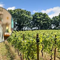 'It's a magical place' - Family behind historic West Midlands vineyard ready to pass on their beloved estate