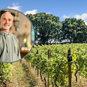Astley Vineyard in Worcestershire - owner Tim Haywood (inset)