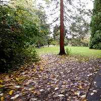 What makes south Staffordshire so peaceful? We ask those who live there why