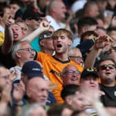 Wolves fans