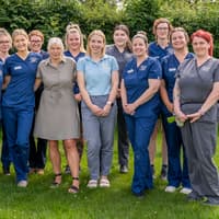 Staffordshire vet practice manager is finalist in the veterinary 'Oscars'