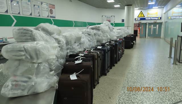 All the seized suitcases and extracted cannabis