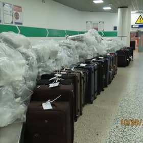 All the seized suitcases and extracted cannabis