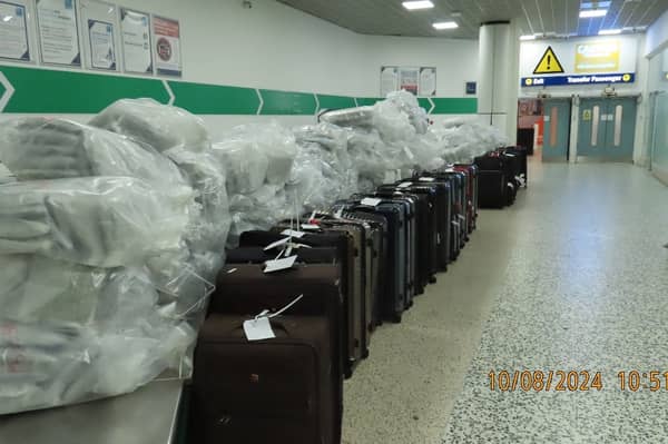 All the seized suitcases and extracted cannabis