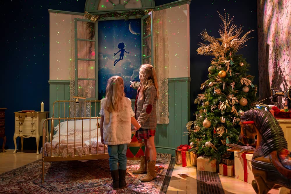 Neverland at Birmingham Museum & Art Gallery