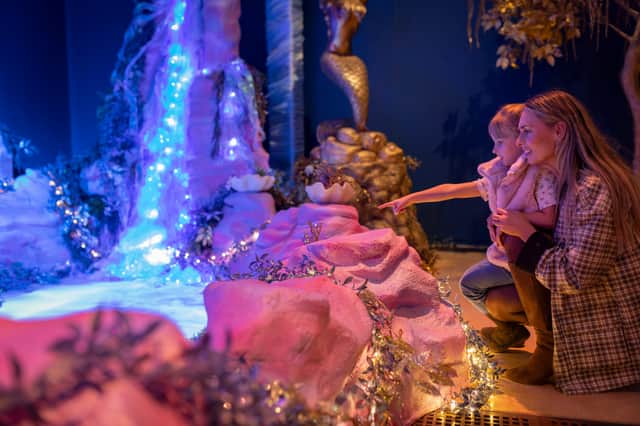 Neverland at Birmingham Museum & Art Gallery