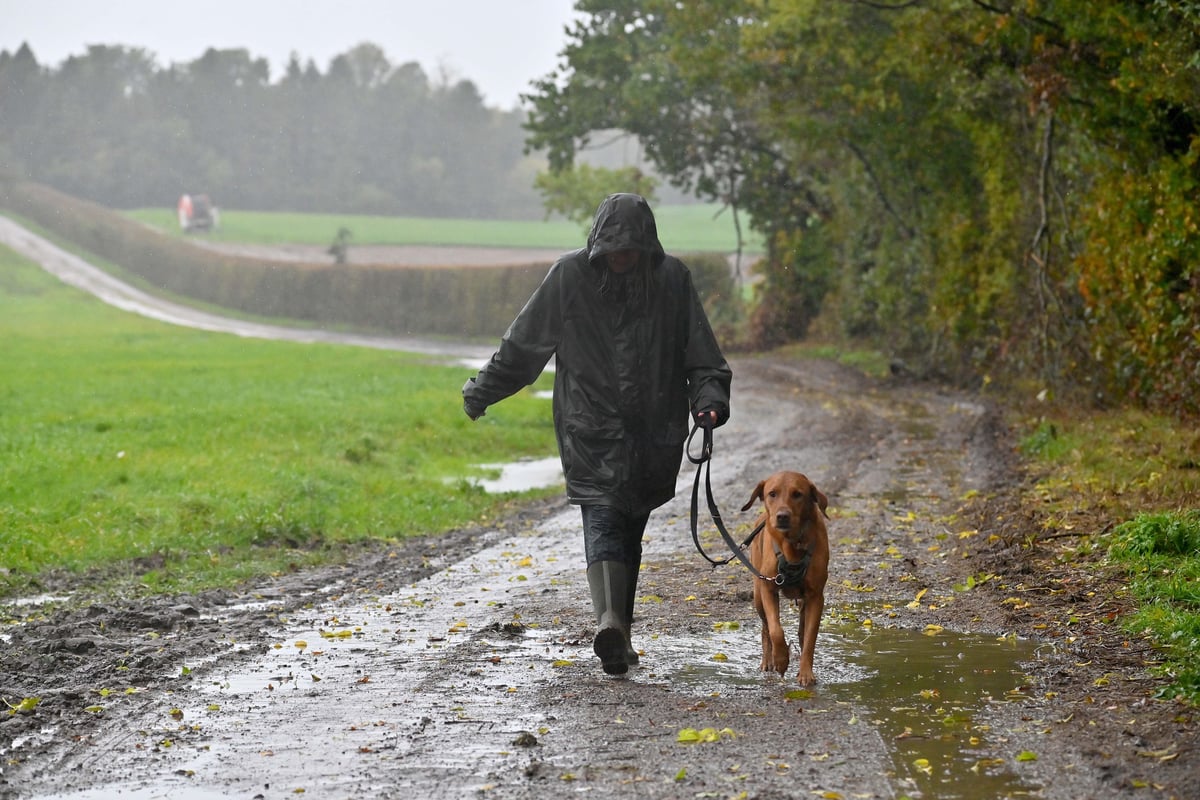 West Midlands faces wet and windy start to half term