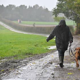Weather: Wrottersley Park Road, Perton. Roscoe the dog out for his walk.