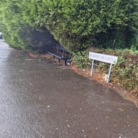 Fallen tree partially blocks busy Birmingham road