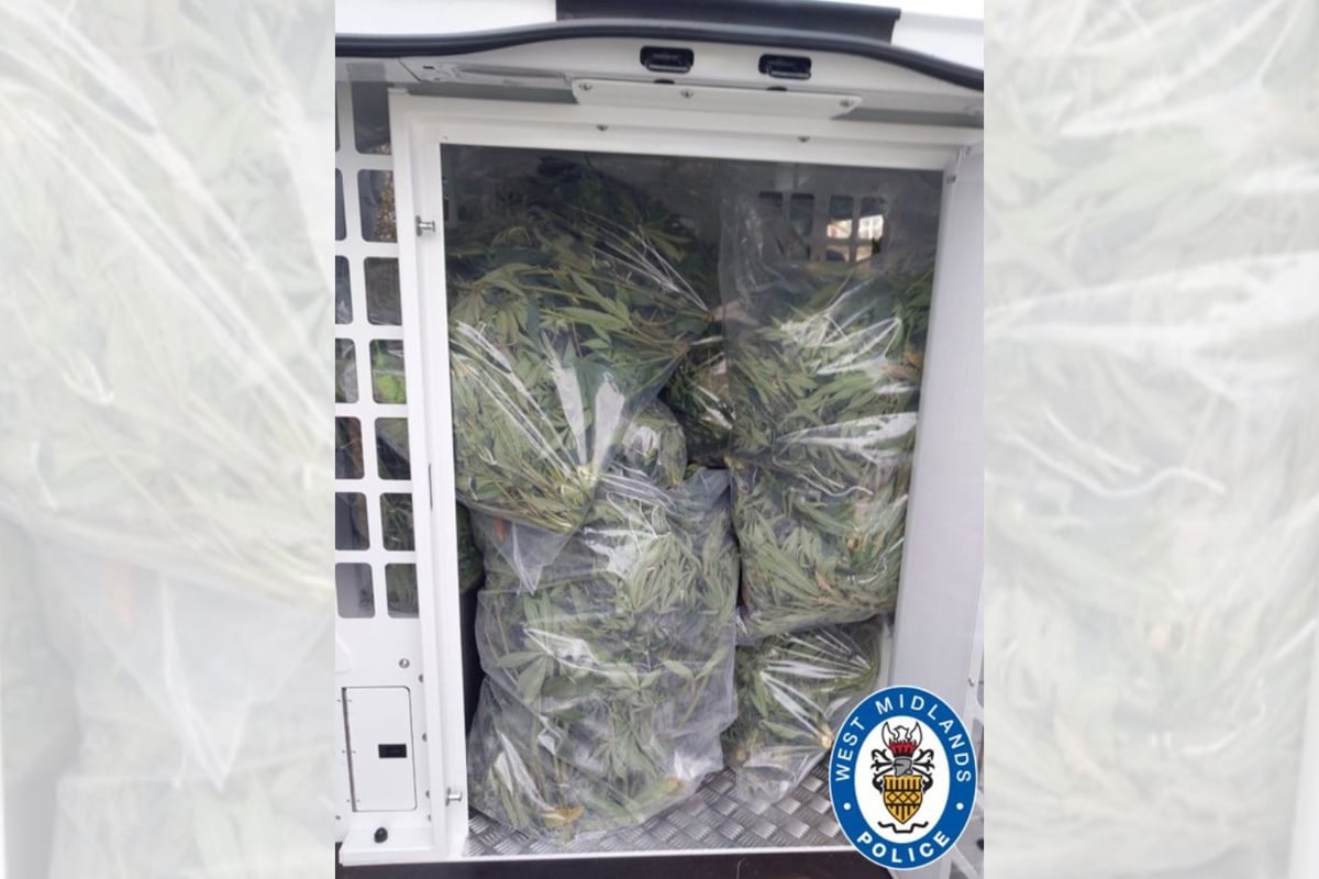 Police seize 100 cannabis plants in West Midlands raid