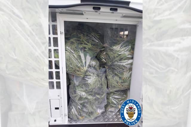100 plants were seized from the address. Photo: West Midlands Police
