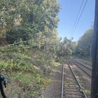 Rail passengers warned of delays on West Midlands line due to fallen tree
