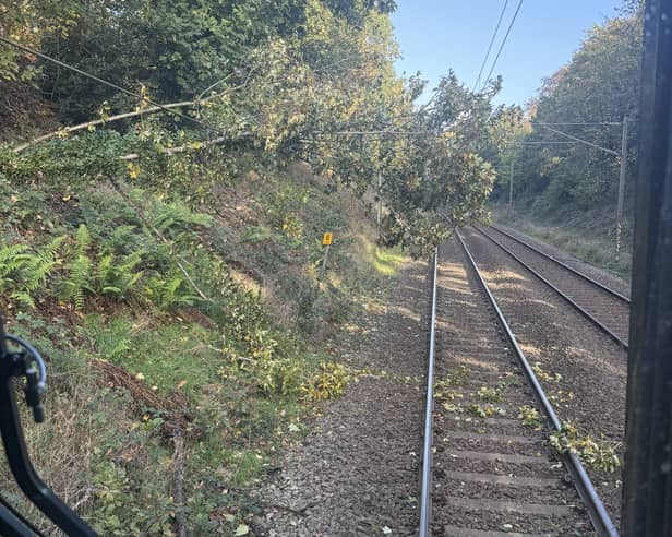 The fallen tree has blocked the line between Four Oaks and Lichfield. Photo: West Midlands Railway