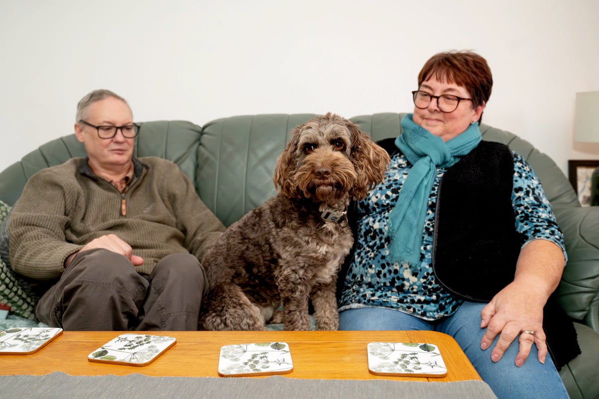 Hero hearing dog saves Staffordshire man's life after alerting deaf owner to fall down stairs