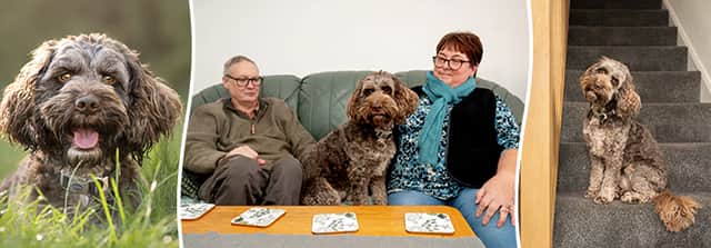 Sandra Donally with Storm and Gary