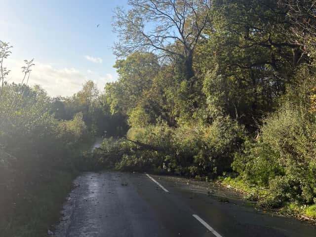 A tree that has blocked High Arcal Road off Himley Road