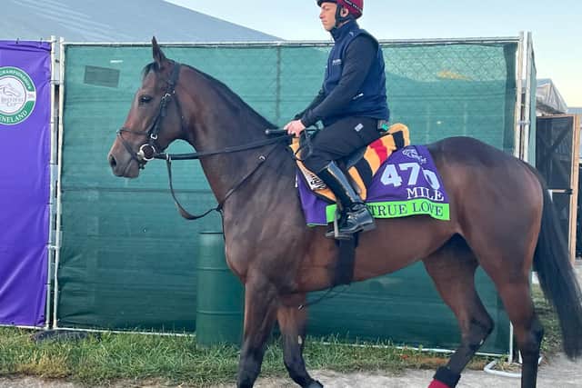 True Love will run at Keeneland on Saturday (Neil Morrice/PA)