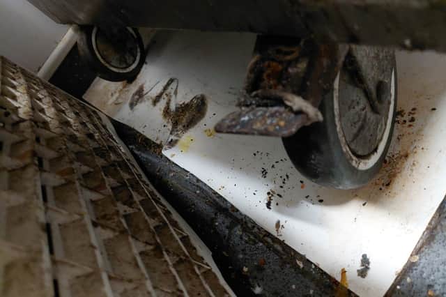 Mouse droppings found in kitchen under the cooker