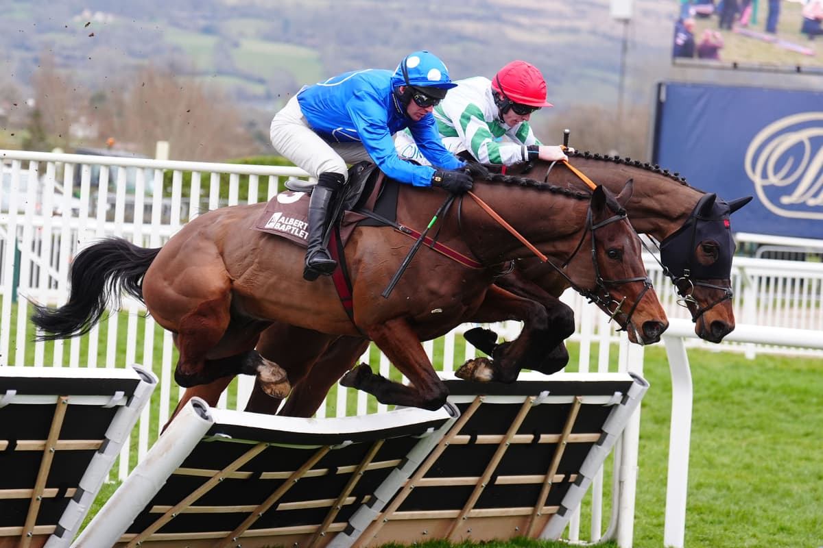 Cheltenum Races Derryhassen Paddy has chance to showcase his ability at Cheltenham