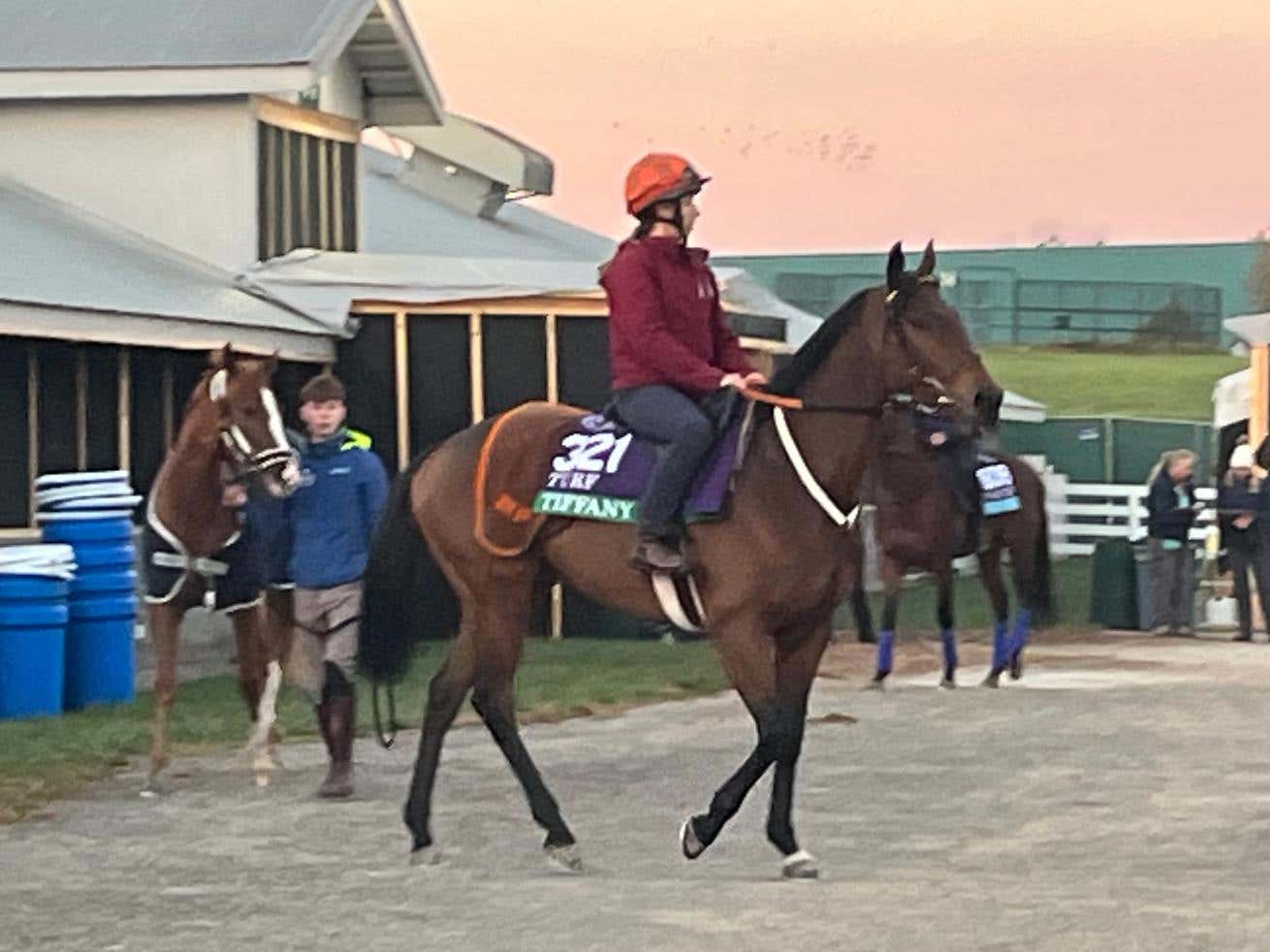 Tiffany takes in the surroundings at Keeneland
