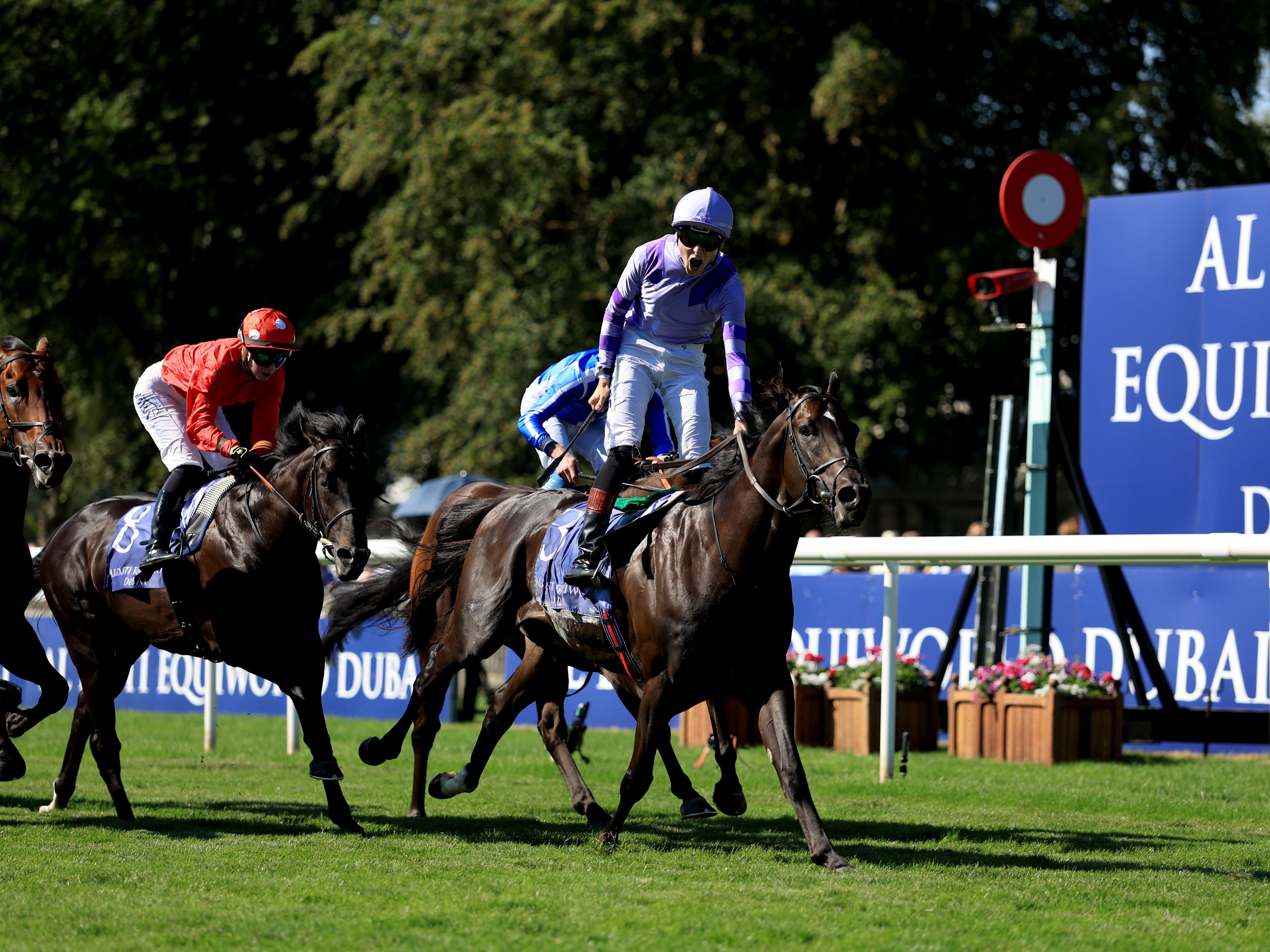 Donnacha O’Brien seeks more Breeders’ Cup glory with Comanche Brave