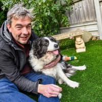 Staffordshire man saves dog from squalid van filled with 20 other caged Collies