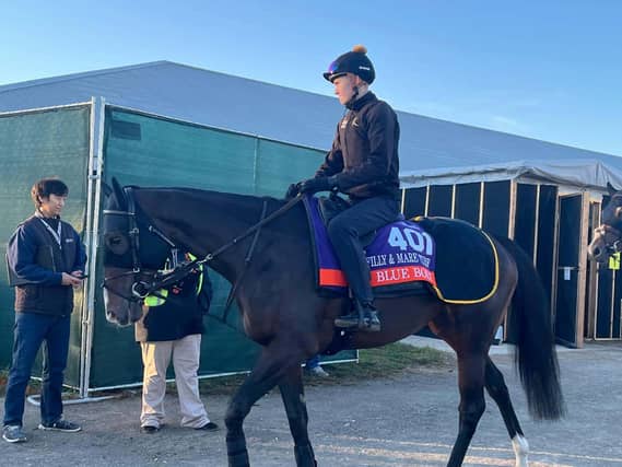 Blue Bolt at Keeneland
