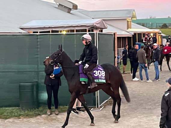 Ethical Diamond is back to defend his Turf crown