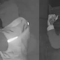 Balaclava-clad man with distinctive hand tattoos sought after Dudley shop burglary attempt