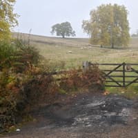 Major update on identity of body found in burnt-out car as police conclude 'no suspicious circumstances'