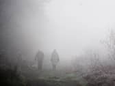 Yellow fog warning