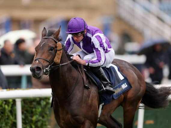 Bengal Tiger won the Horris Hill Stakes
