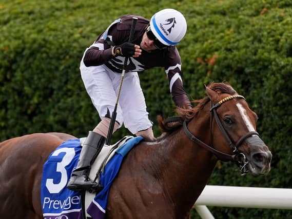 Juan Hernandez rides Bacio to victory in the Breeders’ Cup Turf Sprint
