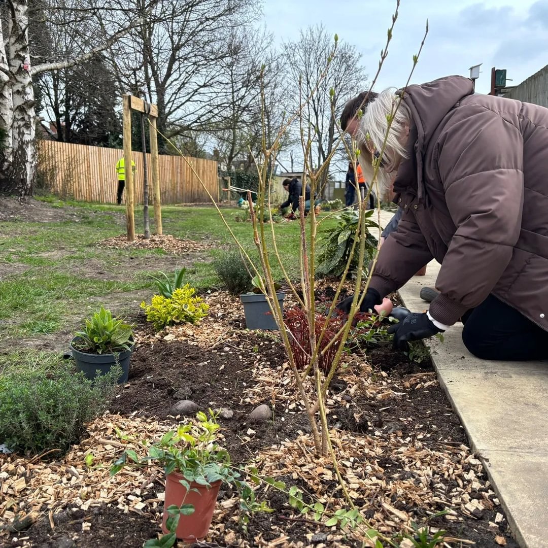 Community garden transforms former fly-tipping hotspot in Palfrey