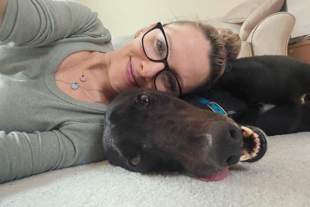 In the past year these greyhounds have stolen my heart forever