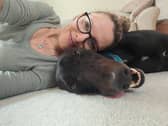 In the past year these greyhounds have stolen my heart forever