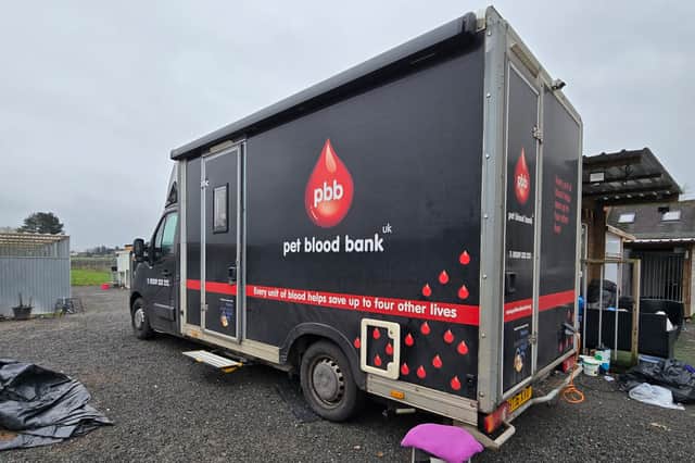 I have fed my scientific side by helping with the Pet Blood Bank