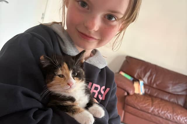 Socialising Marmalade ready for her new home