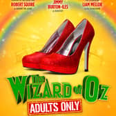 Wizard of Oz Adult Pantomine